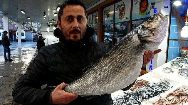 Karadeniz’de avlanan levrek 2 bin liradan satışta
