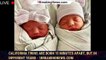 California twins are born 15 minutes apart, but in different years - 1breakingnews.com