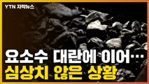 [자막뉴스] 요소수 대란에 이어 이번엔...새해 벽두부터 심상치 않은 상황 / YTN