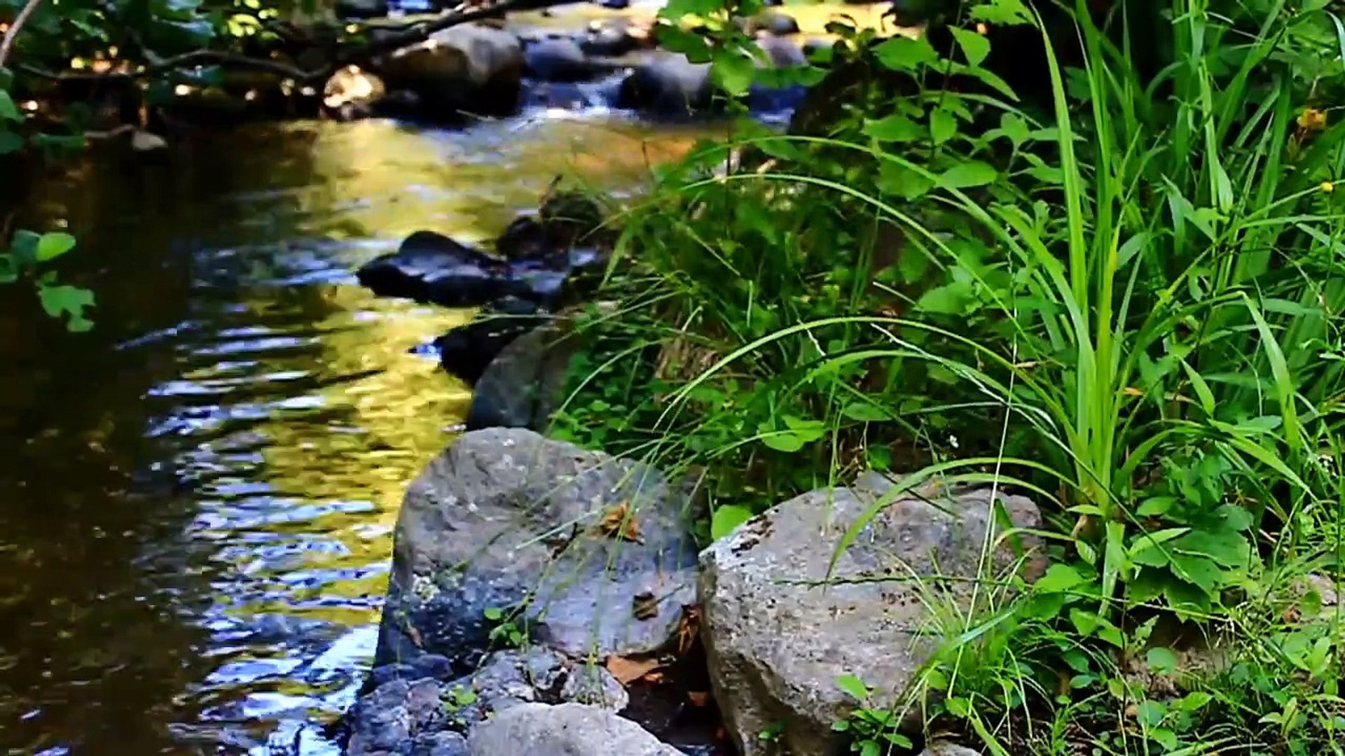 ⁣Relaxing Piano Music • Sleep Music, Water Sounds, Relaxing Music, Meditation Music,(peaceful sound).