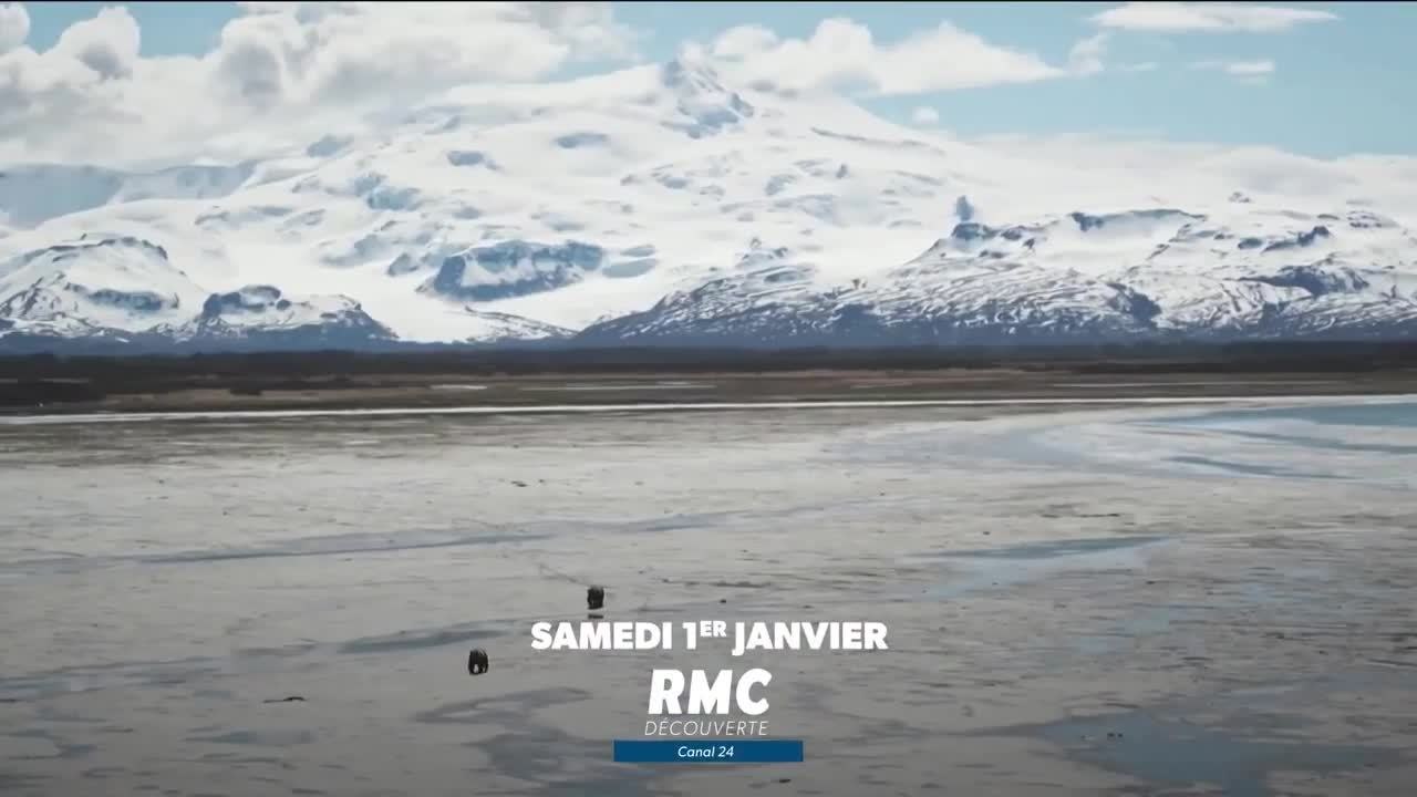 Seuls face à l’Alaska -  1er janvier