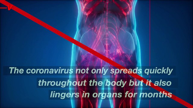 Coronavirus Can Linger in Organs for Months After Original Infection