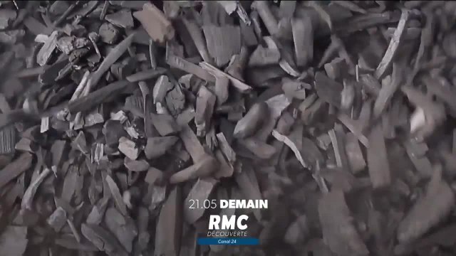 Bûcheron : un métier à hauts risques - 17 novembre