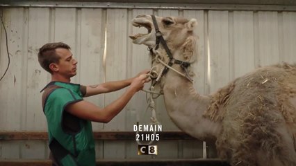 La Tanière, le zoo refuge de l’espoir - 4 décembre