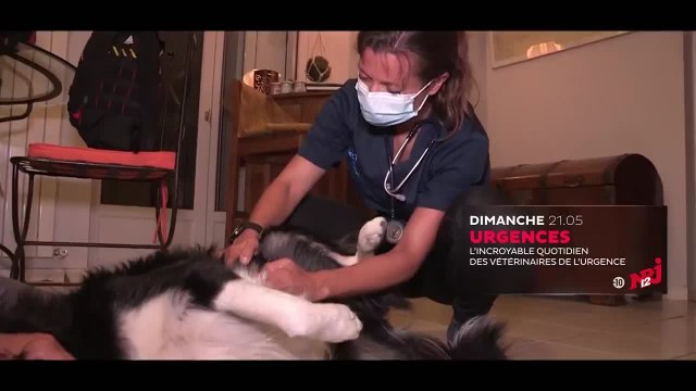 Urgences - 21 novembre