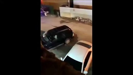 Quand ton petit chat ne veut pas rentrer à la maison