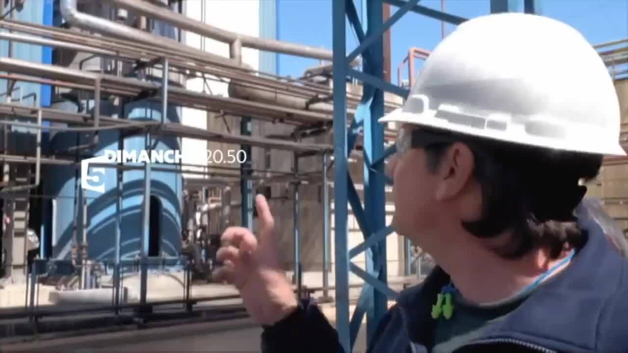 Des huiles... pas si végétales