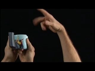 Presidents of the United States of America Music Video