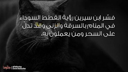 القطط السوداء في المنام وتفسير حلم القطة السوداء