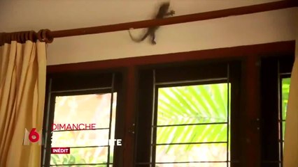 Zone interdite : Vivre et travailler sur une île au soleil : des Français réalisent leur rêve ! (épisode 1)