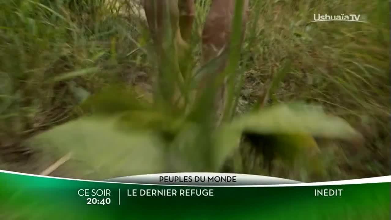 Le dernier refuge