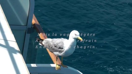 les matelots: vidéo-clip