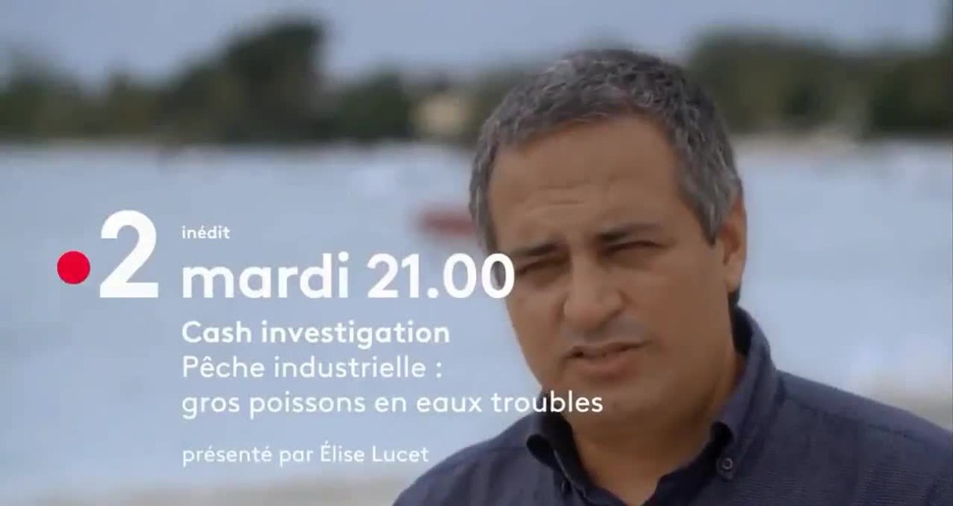 Cash investigation : Pêche industrielle : gros poissons en eaux troubles