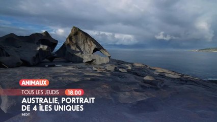 Australie : Portraits de quatre îles uniques