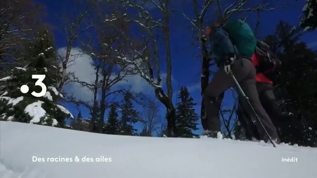 Des racines et des ailes : Passion patrimoine : Sur les chemins du Dauphiné