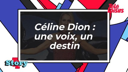 Céline Dion - Une voix, un destin
