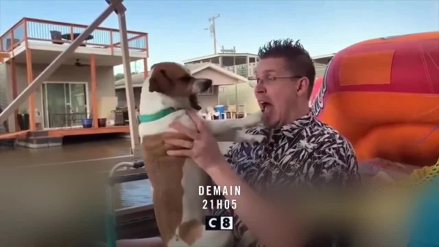 Le grand bêtisier des animaux - 23 octobre