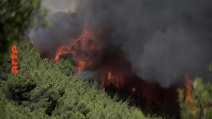 Sous le soleil de Pialat - 18 octobre