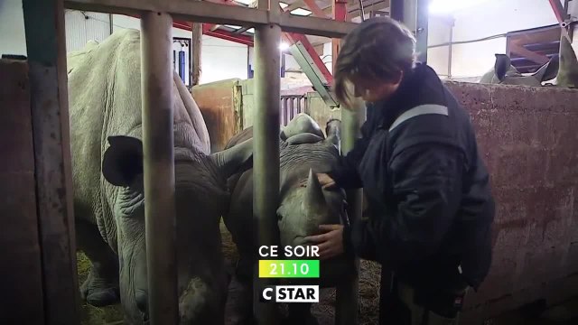 100 jours avec les animaux du zoo - 10 septembre