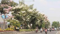 Dua Warga Surabaya Positif Omicron, Salah Satu Pasien Sempat Liburan di Bali