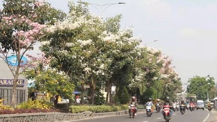 Dua Warga Surabaya Positif Omicron, Salah Satu Pasien Sempat Liburan di Bali