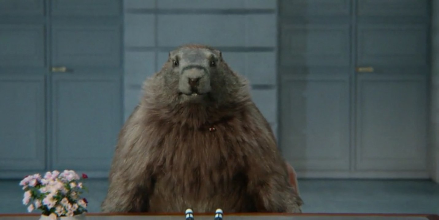 Exclu. Les Marmottes de France 3 disent au revoir…