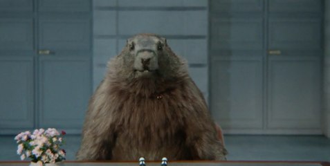 Exclu. Les Marmottes de France 3 disent au revoir…