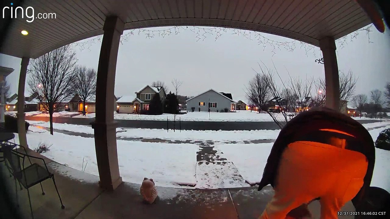 Dog Walker Slips on Ice video Dailymotion