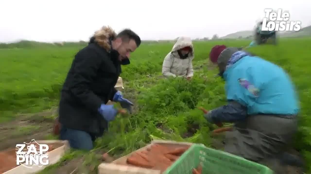 Norbert Tarayre sèchement rembarré par une agricultrice dans son émission sur 6Ter