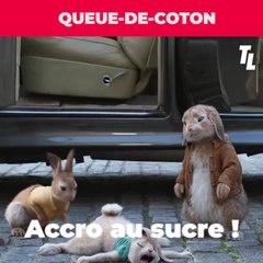 Pierre Lapin 2 panique en ville : la présentation des personnages