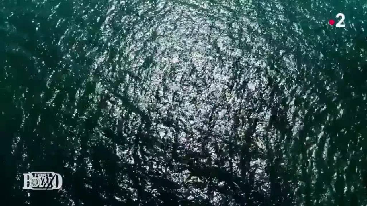 Exclu. Fort Boyard : Amandine Petit (Miss France 2021) paniquée face à "sa plus grande phobie"