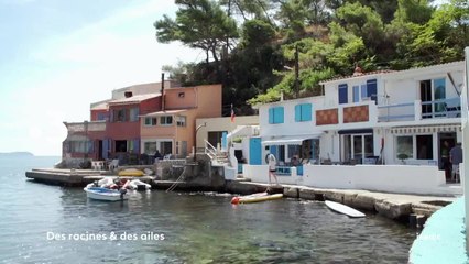 Des racines et des ailes - 2 juin