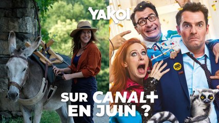 Yakoi sur Canal + en juin ?