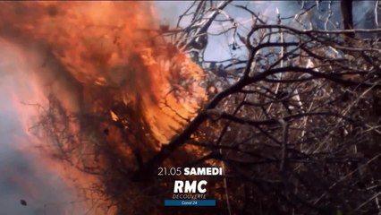 Retour à l’instinct primaire - 5 juin