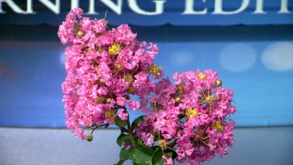 01 - Morning Edition Intro: 28th October 2021