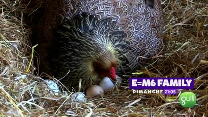 E=M6 familly - 2 mai