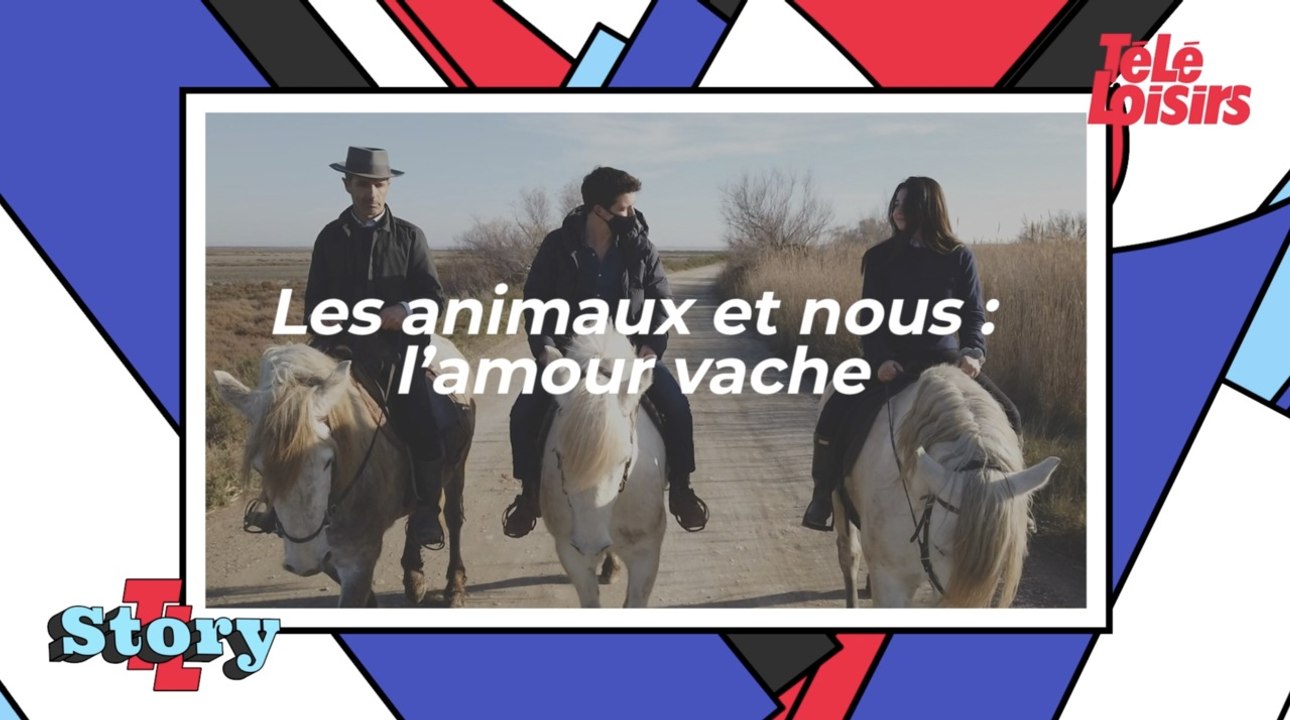 Les animaux et nous : l'amour vache