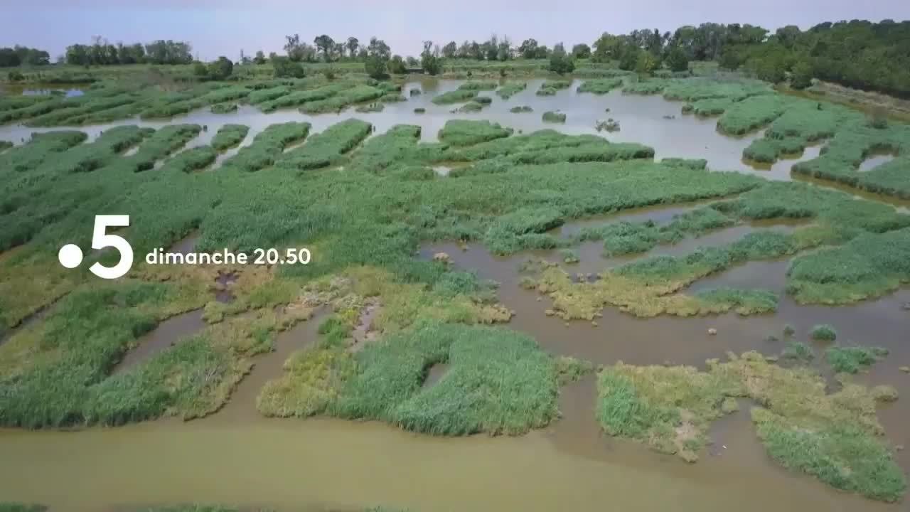 Les gardiens du fleuve - 2 mai