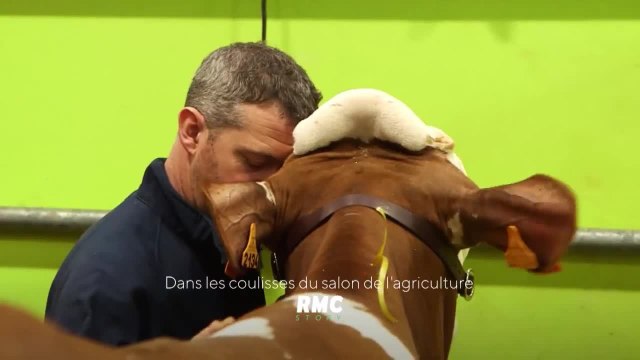 Dans les coulisses du Salon de l'agriculture