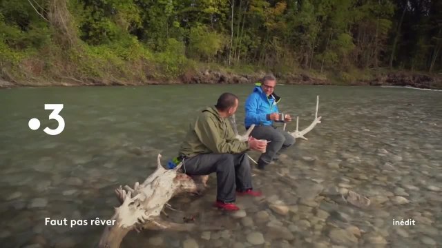 Faut pas rêver - 31 mars