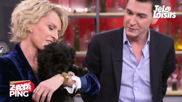 Affaire conclue : Sophie Davant présente son nouveau chien aux téléspectateurs... et il est trop mignon !