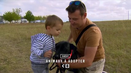 Animaux à adopter - 20 février