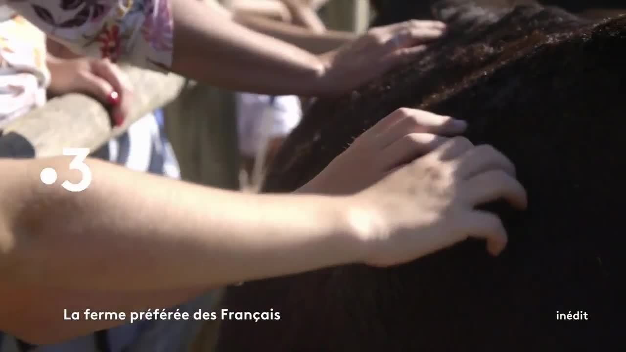 La ferme préférée des Français - 3 mars