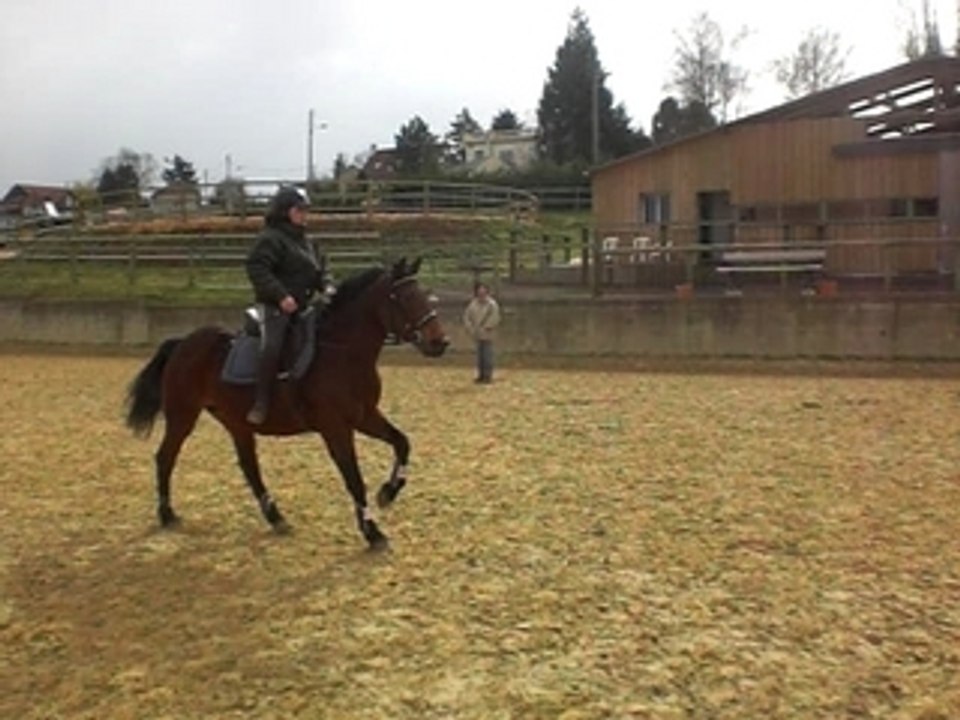 CIMG0569