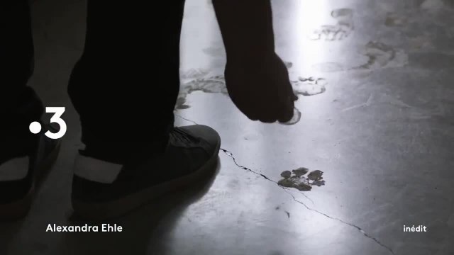 Alexandre Ehle - 2 février