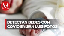 Tres bebés hospitalizados por covid-19 en San Luis Potosí