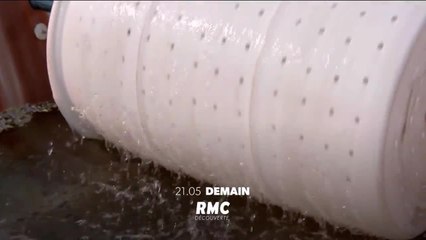 Wild retour à la vie sauvage - 23 janvier
