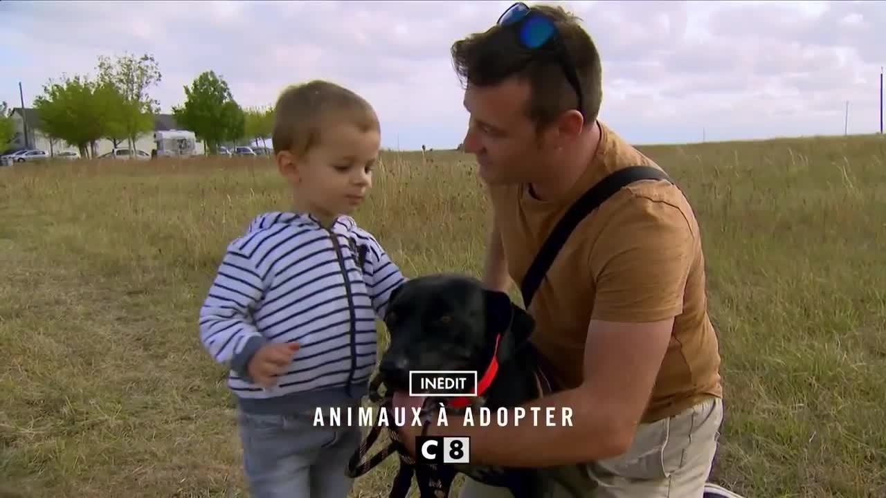 Animaux à adopter - 6 février