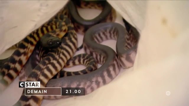 Douanes sous haute surveillance Irlande - 2 février