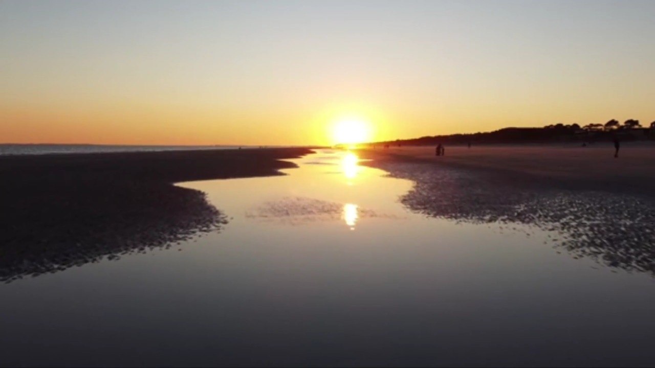 The Best Family-Friendly Restaurants on Hilton Head Island